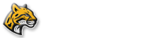 Ocelot Logo